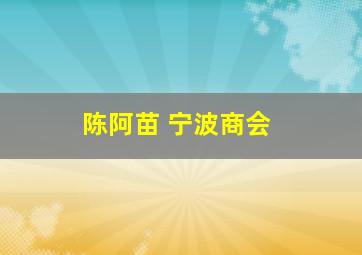 陈阿苗 宁波商会